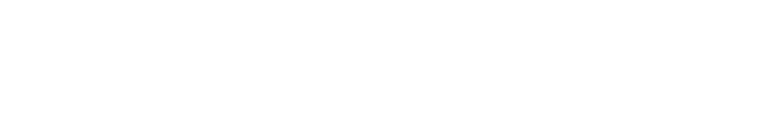 Your Chief AI Officer